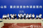 山东省党政代表团在重庆对接扶贫协作工作 - 中国山东网