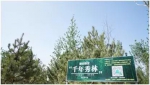 习近平绘出“天蓝山绿水清”的江山丽景图 - 中国山东网