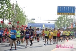 “全民禁毒 为爱奔跑” 第四届禁毒公益半程马拉松比赛顺利举行 - 中国山东网