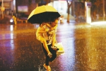 济南：“退烧雨”深夜送清凉 - 济南新闻网