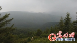 旅游产业续写苏木山人工林场绿色传奇 - 中国山东网