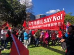 悉尼“爱国护港”和平游行，华人涌上街头表达中国心 - 中国山东网