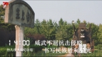 1天24小时，枣庄在发生什么…… - 中国山东网