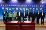山东社会科学院与中国农业发展银行山东省分行签署战略合作协议 - 社科院