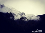 玉龙雪山核心区是长江上游最重要的生态屏障。（何川/摄） - 中国山东网