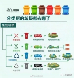 济南青岛泰安喜提垃圾分类重点城市!垃圾分类统一标准来了,快收好 - 中国山东网