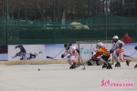 “美洲狮”杯2019年山东省轮滑球锦标赛在济南举办 - 中国山东网