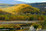 【生态文明@湿地】秋有湿地冬有雪 绝美龙江！ - 中国山东网