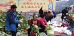 元旦春节农产品市场供应充足 部分农产品价格略有下降 - 中国山东网