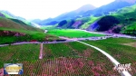 【生态文明@湿地】祁连山生态修复保护工作取得显著成效 - 中国山东网