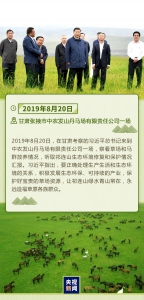 北京世园会一年间，看习近平的“生态”足迹 - 中国山东网