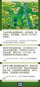 北京世园会一年间，看习近平的“生态”足迹 - 中国山东网