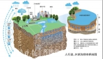 济南这个海绵宝宝到底多能“喝”？有“它们”盯着呢 - 济南新闻网