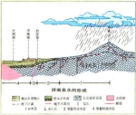 济南这个海绵宝宝到底多能“喝”？有“它们”盯着呢 - 济南新闻网