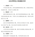 山东38城市将大升级 60镇入选省特色小镇创建名单 - 中国山东网