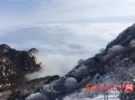 蓝天白云云海雾凇……泰山顶的美景让人眼馋(图) - 半岛网