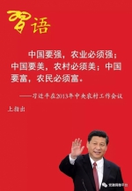 习近平谈“三农”问题 - 中国山东网