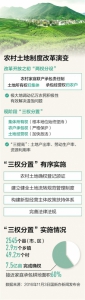 记者在山东各地调查农地“三权分置”土地流转更放心（聚焦供给侧改革） - 中国山东网