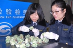 山东检验检疫局今年首次截获黑斑羚头标本 - 水母网