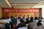 我局组织召开全市2017年小麦新品种观摩培训会   - 农业委员会