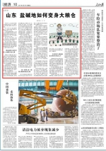 人民日报关注山东渤海粮仓工程:盐碱地如何变身大粮仓 - 半岛网