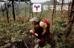 母亲向往诗和远方 背1岁半女儿走遍名山 - 山东华网