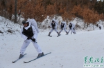 网络媒体国防行：忠诚和血性塑造的特战劲旅 - 中国山东网