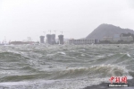 8月23日，台风“天鸽”登陆广东，深圳迎来狂风暴雨。 中新社记者 陈文 摄 - 山东华网