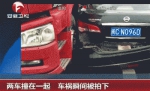 508cd209a2c9c1553f17109ac273a4db.gif - 东营网