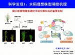 2017年度国家科学技术奖励大会丨​国家自然科学奖一等奖：水稻高产优质性状形成的分子机理及品种设计 - 中国山东网