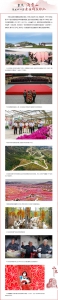 这就是山东丨打赢脱贫攻坚战的山东实践 - 中国山东网