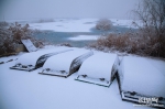 【生态文明@湿地】淡装素颜 衡水湖雪景美如水墨画 - 中国山东网