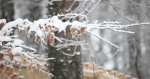 以雪为令，闻雪而动！一场大雪袭来，山东却“暖意浓浓” - 中国山东网